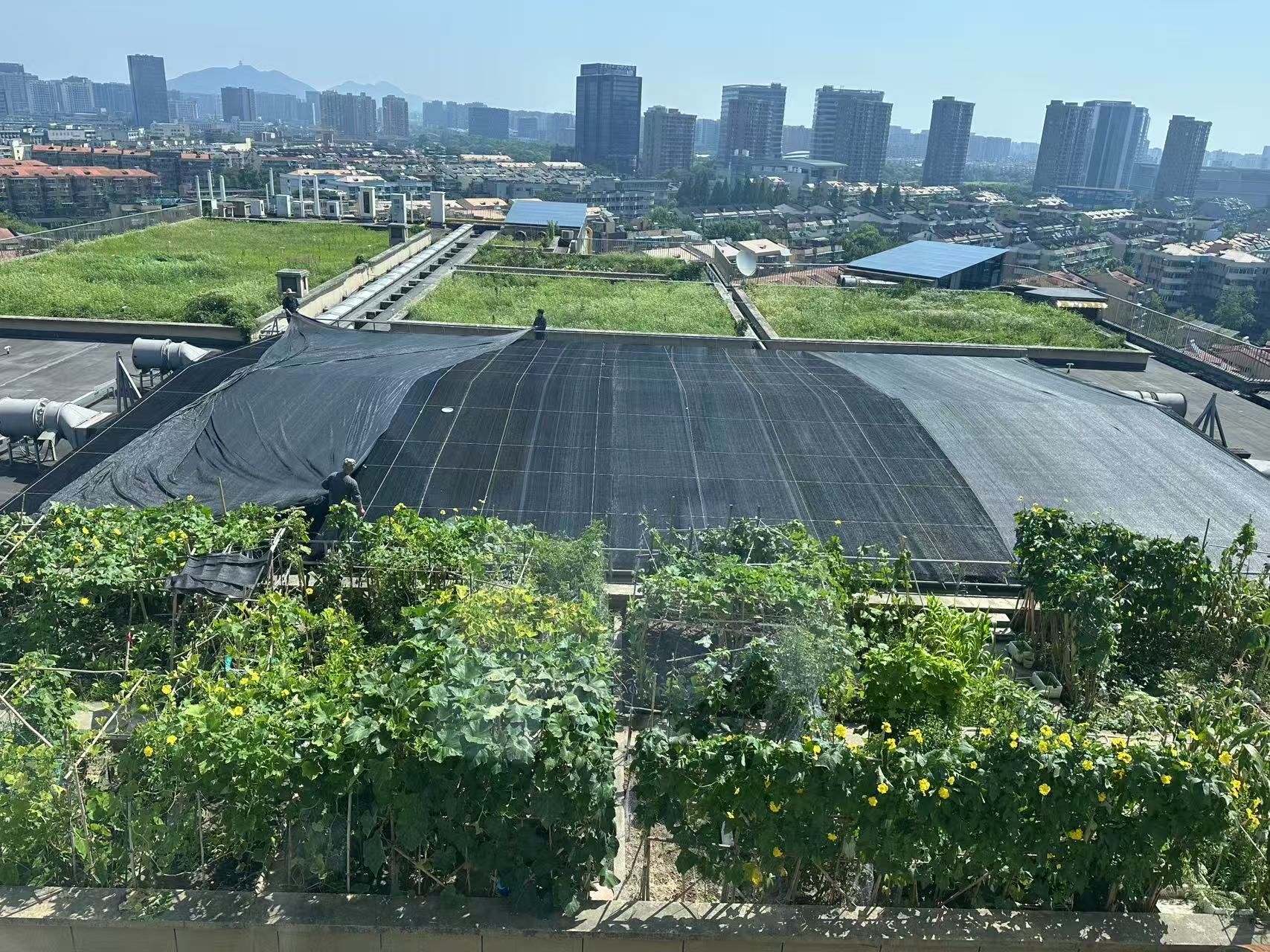 水晶城巧施”遮陽術“，為節能降耗注入清涼動力